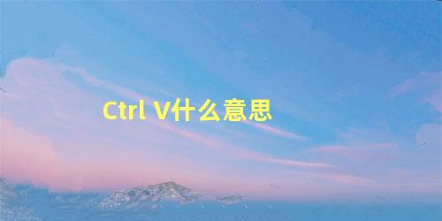 Ctrl V什么意思